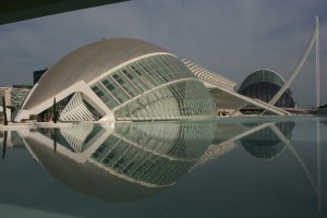 Susan's Take on the Fish