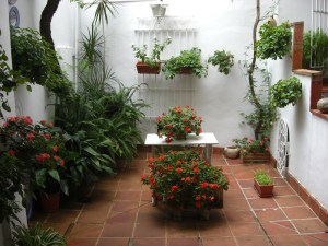 The patio of Pepe's mother's house