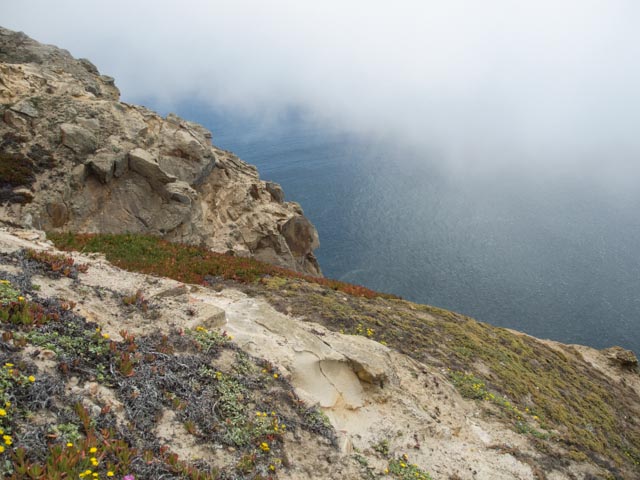 Point Reyes - shore line