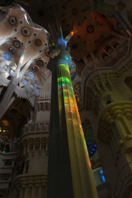 Column of Light 2014